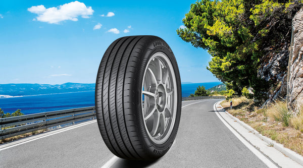 Goodyear EfficientGrip Performance 2 205/55 R16 91V EVR